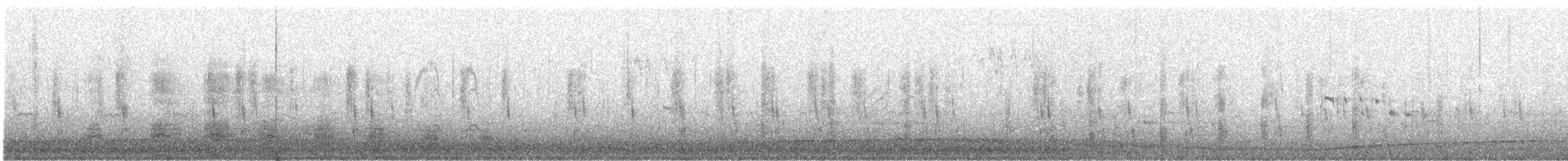 Northern Shoveler - ML648669864