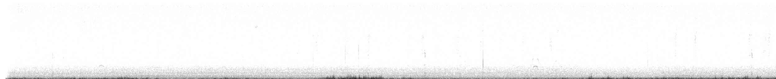 Northern Shoveler - ML648671480