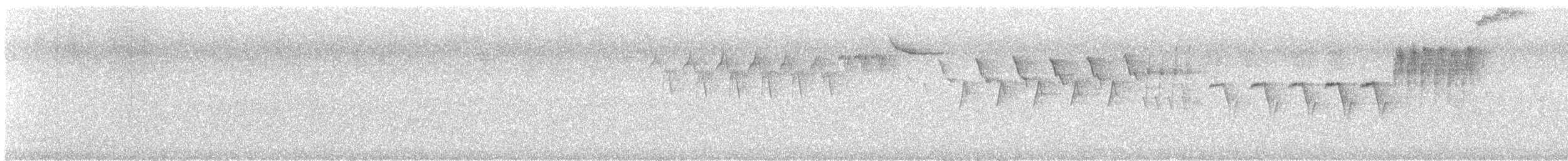 Parulidae sp. - ML648676709