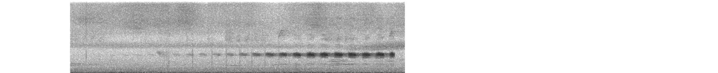 Sahul Cicadabird - ML648676748