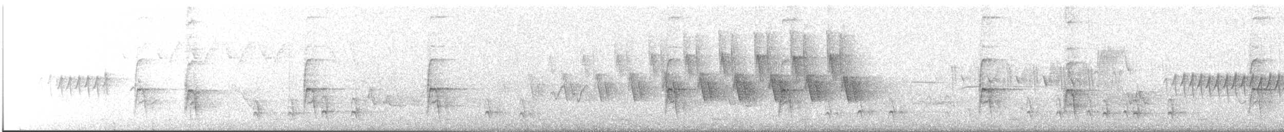 American Robin - ML648677357