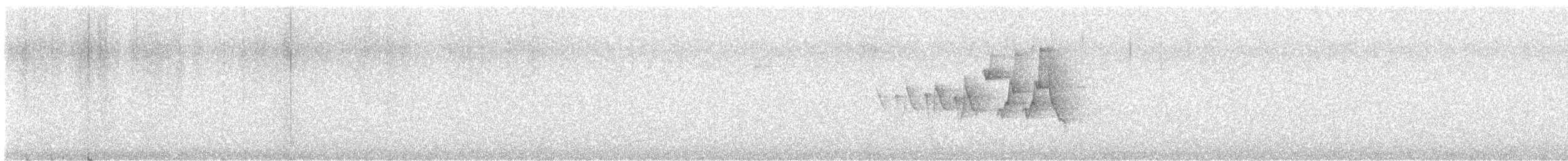 Parulidae sp. - ML648677816