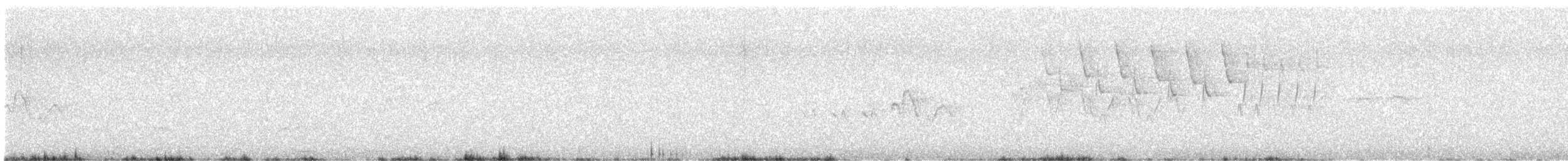 Parulidae sp. - ML648678345