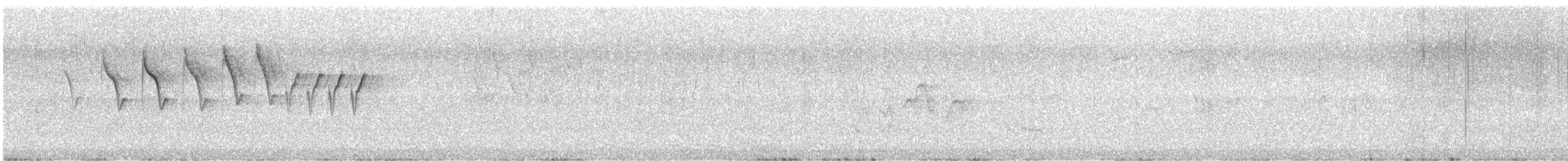 Parulidae sp. - ML648678766