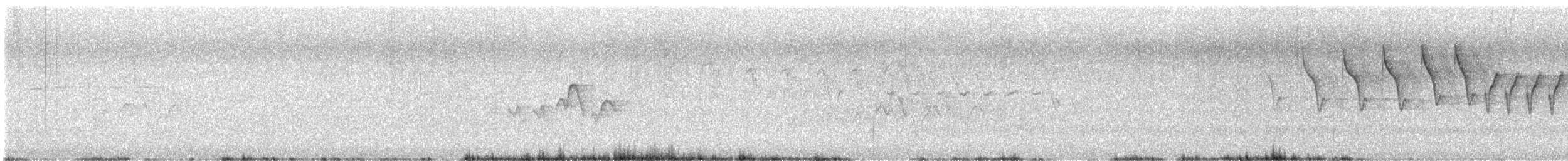 Parulidae sp. - ML648678969