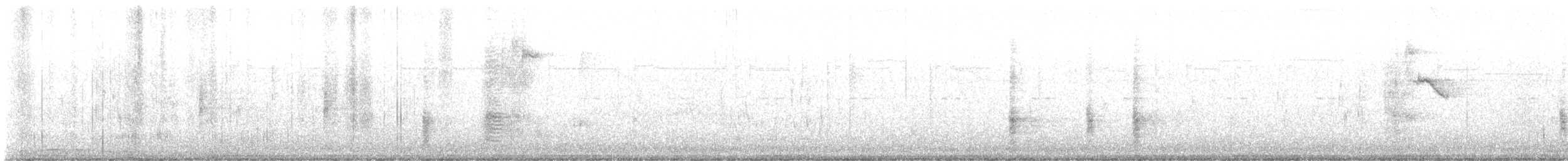 Common Grackle - ML648684347