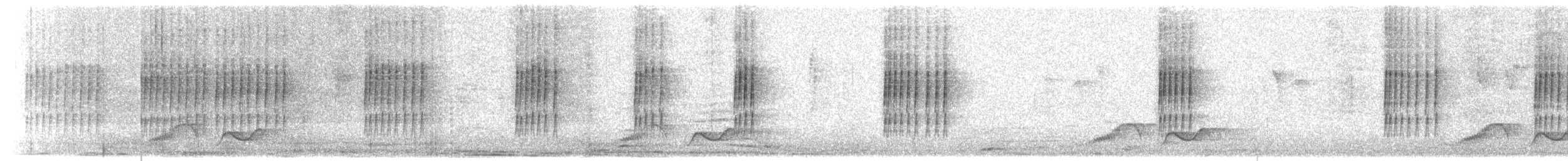 Slaty-bellied Tesia - ML648687807