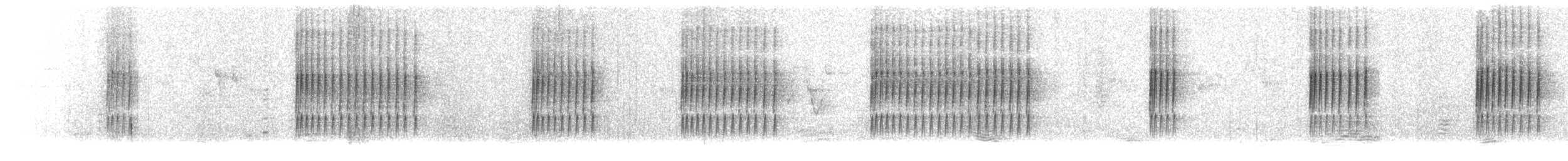 Slaty-bellied Tesia - ML648687808