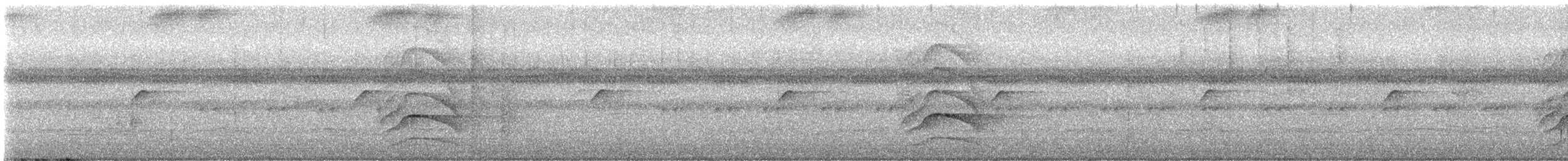 Great Kiskadee - ML648688291