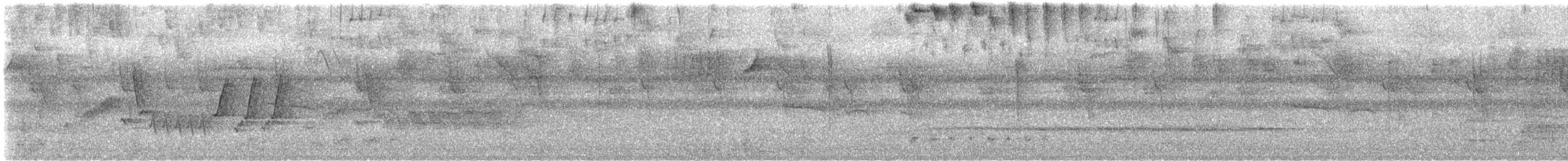 Southern House Wren - ML648688896