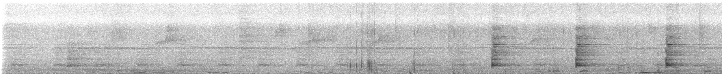 Bearded Bellbird - ML648689094