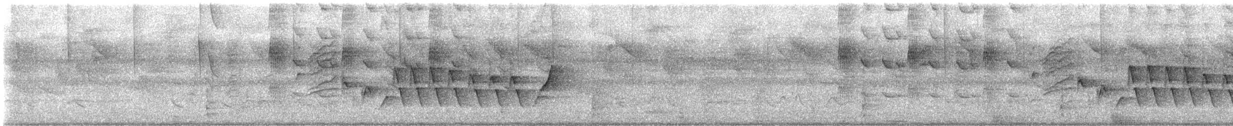 Southern House Wren - ML648689516