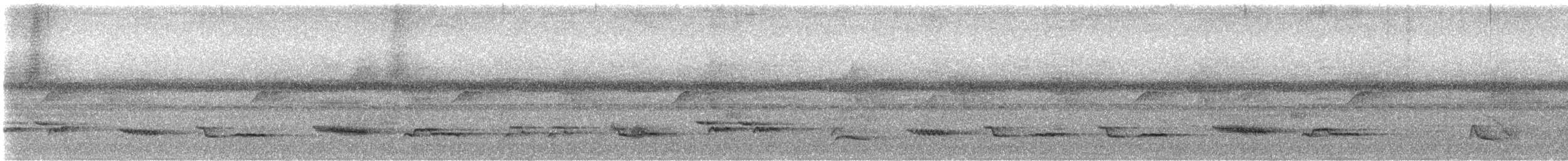 White-necked Thrush - ML648689741