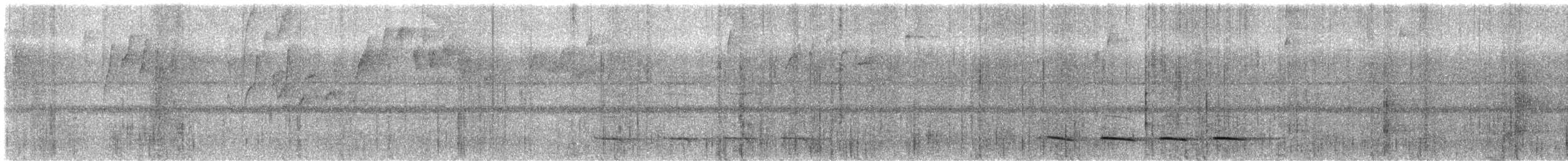 Collared Trogon - ML648689816