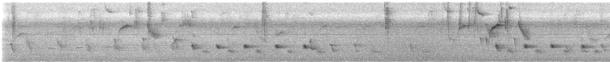 Tropical Mockingbird - ML648689900