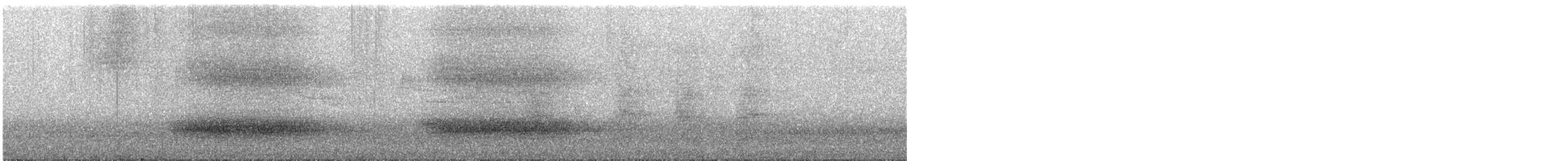 Schildparadiesvogel - ML648703377