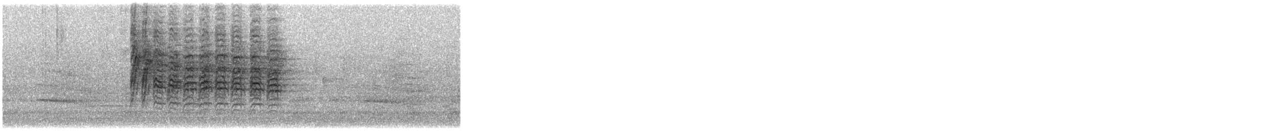 Каролинская гаичка - ML648707378