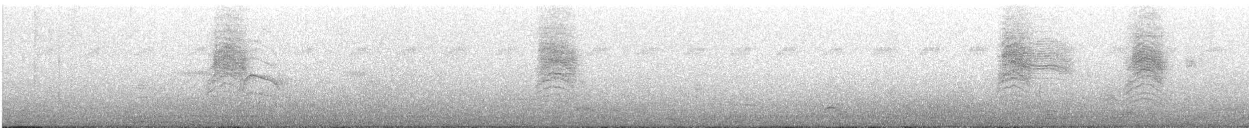 Tropical Gnatcatcher - ML648708058