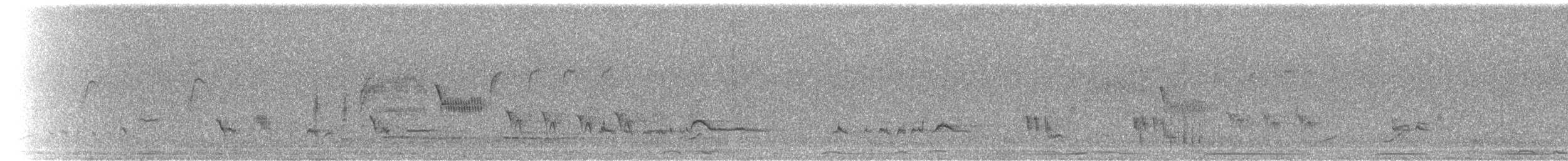 Rotsteiß-Spottdrossel - ML64871281