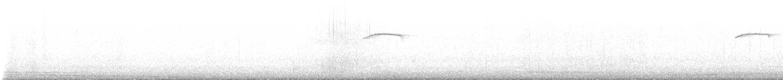 brkoslav americký - ML648729364