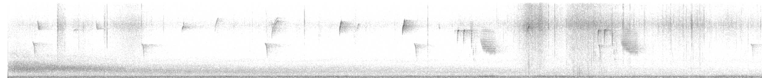 Каролинская гаичка - ML648734275