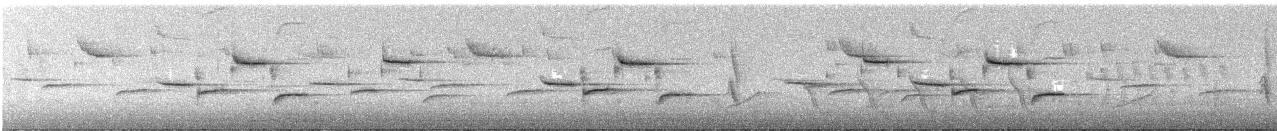 Каролинская гаичка - ML648736845