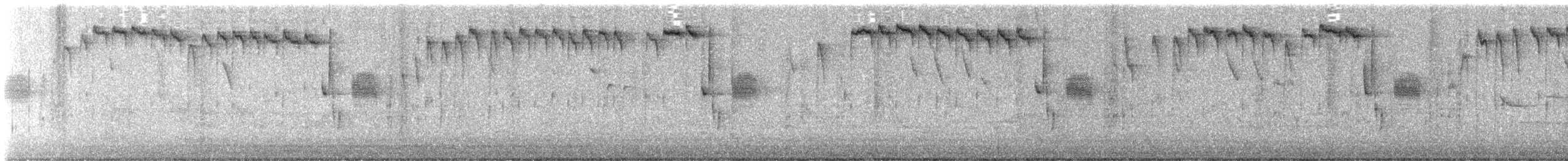 Каролинская гаичка - ML648736982