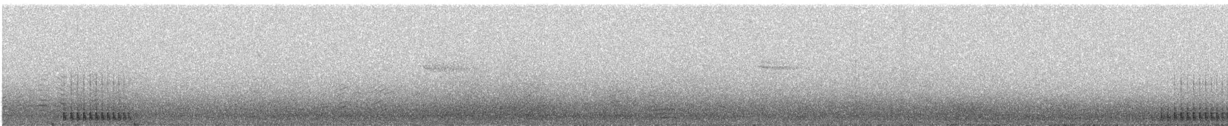 Buntspecht - ML648744483