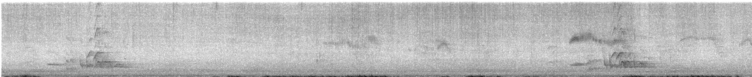 Rufipenne nabouroup - ML648744878