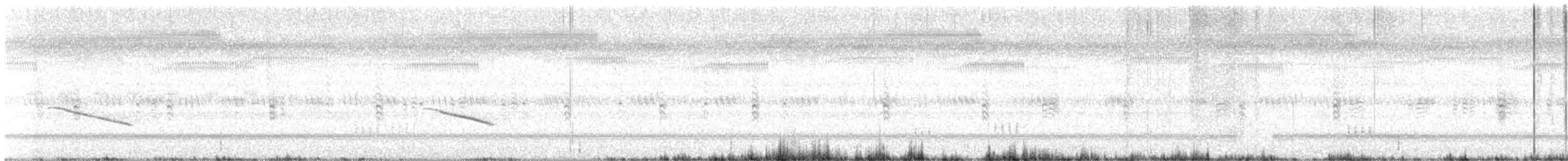 Rotschwanzkuckuck - ML648749073