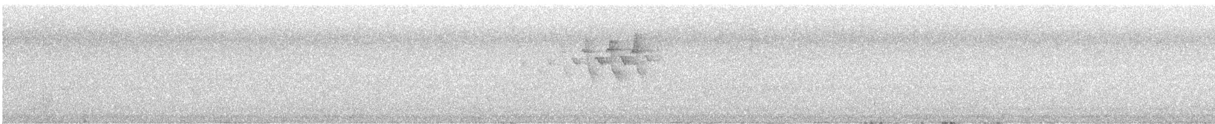 ub. spurvefugl (Passeriformes sp.) - ML648751375