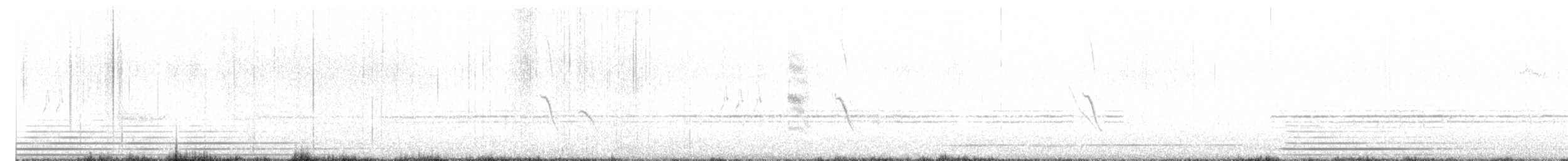 Black Drongo - ML648752332