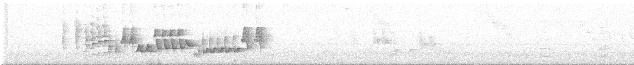 Southern House Wren - ML648752393