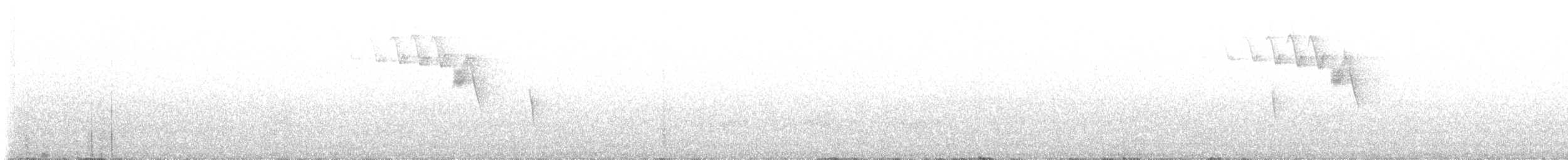 gråfibi - ML648761662