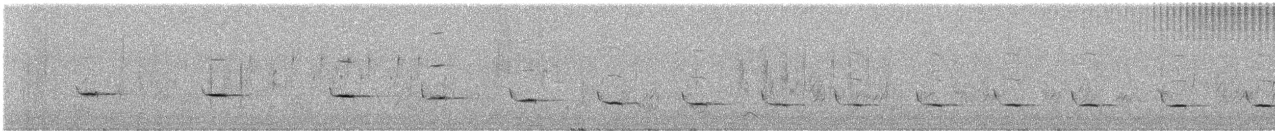 Pririt de Vieillot - ML648771784