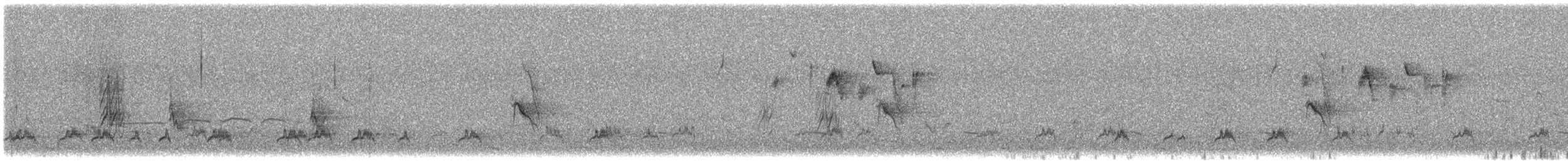 vlha pestrá - ML648772971