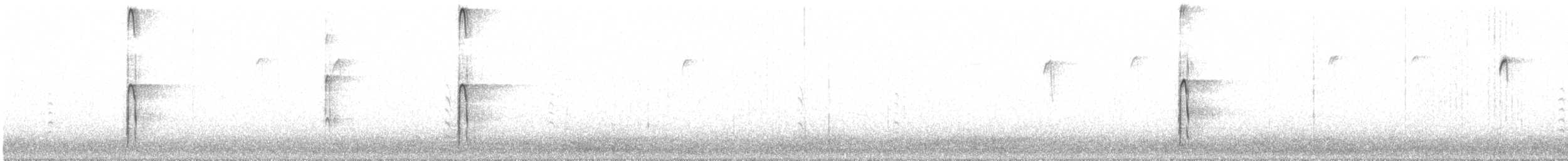 strakapoud americký - ML648773715