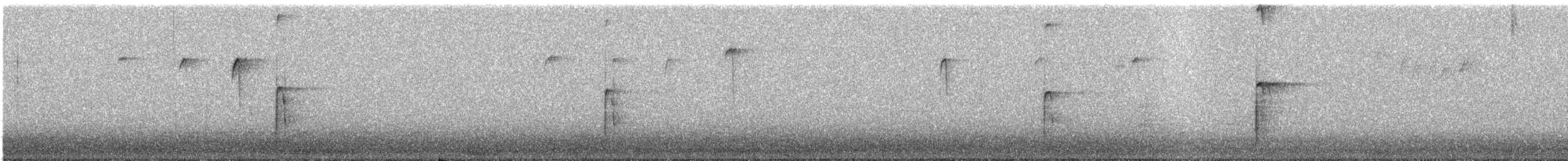 strakapoud americký - ML648773716