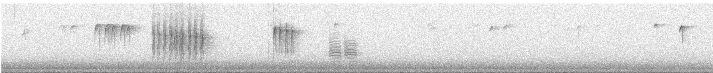 sýkora černohlavá - ML648773783