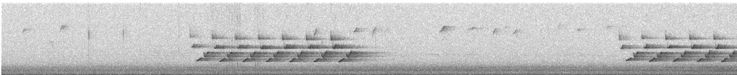 střízlík karolínský - ML648773822