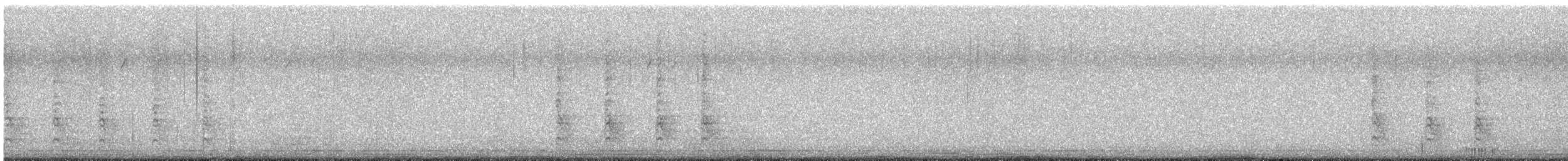 datel karolínský - ML648773946