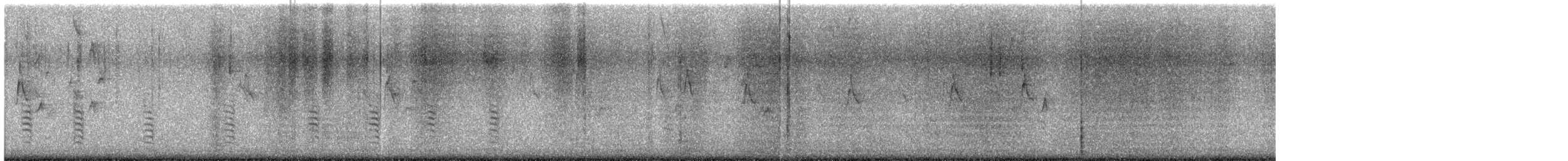 brhlík americký - ML648774318