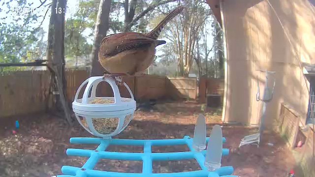 karolinasmett - ML648783331