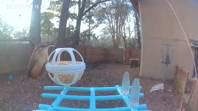 karolinasmett - ML648783913