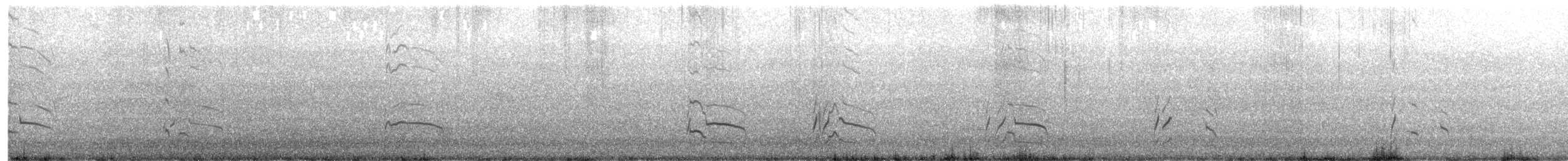 Variable Oystercatcher - ML648791352