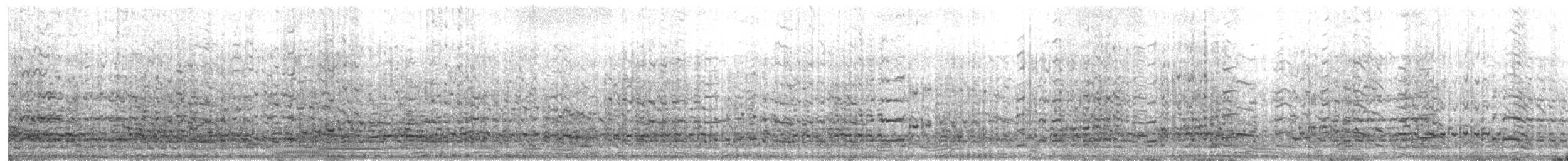 australsule - ML648792359