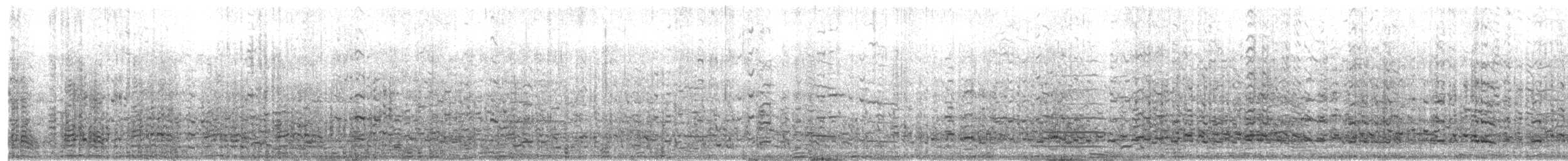 australsule - ML648792360