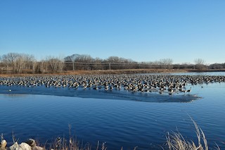 Ada Hayden Heritage Park--north lake, Story, Iowa, United States ...