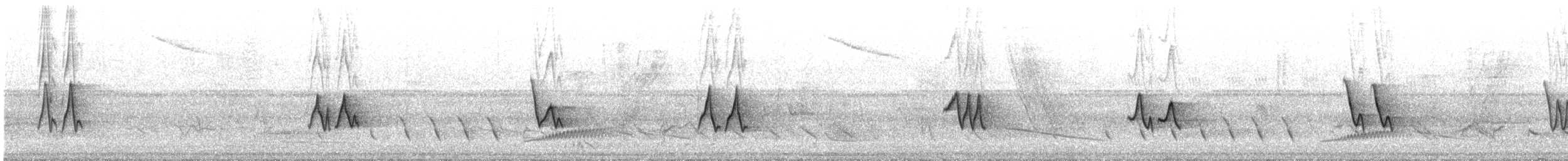 Chivi Vireo - ML648793899