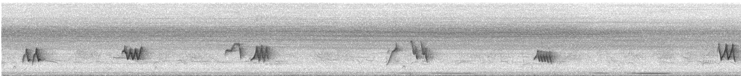 Chivi Vireo - ML648793905